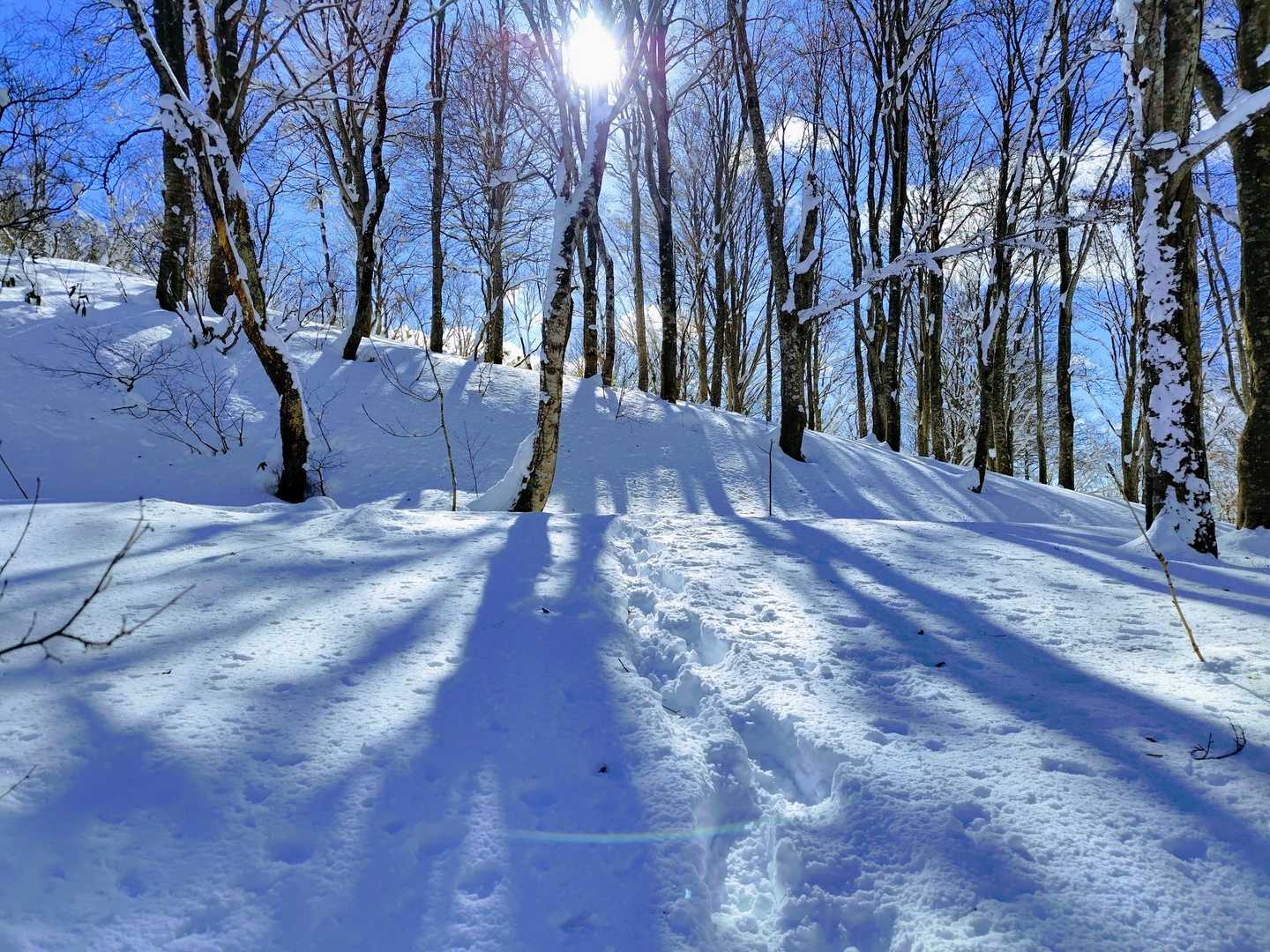 戻りはトレースが有るので楽チンだ♪
山頂でのんびりしてたら、赤池からお一人登って来られて、よりトレースもハッキリクッキリ✨️