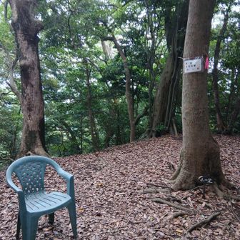 ⑦小一足　ベンチが一つなら怖くないのでちょっとだけ休憩