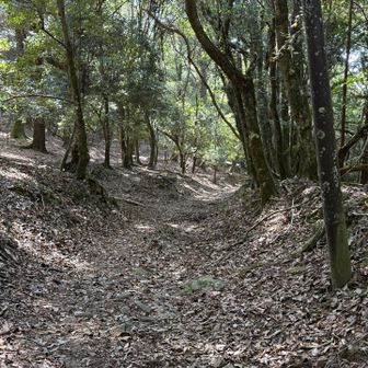 石畳が尽きる辺りでゴールとなる