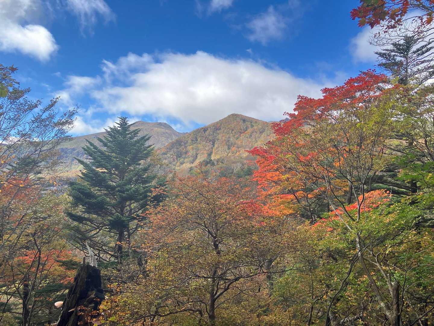 中大倉山-スダレ山-三本槍岳 往復コースの写真