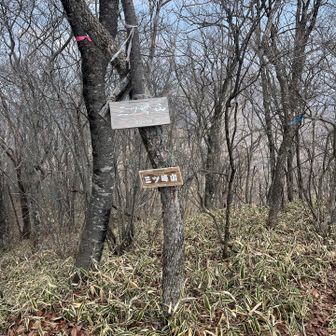 三ツ峠山到着　途中笹薮で道が分かりづらい箇所あり