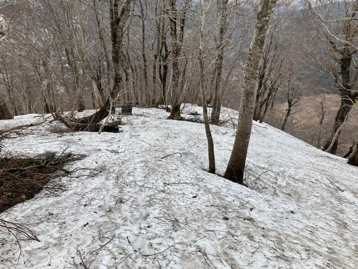 下山、かなり急です