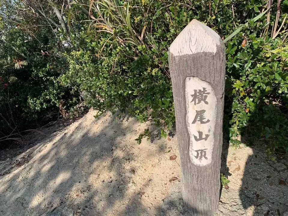 横尾山の写真
