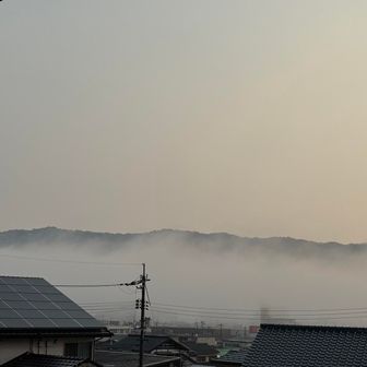 下山して来ました。
下界はこんな感じ🥺