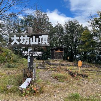 大坊山