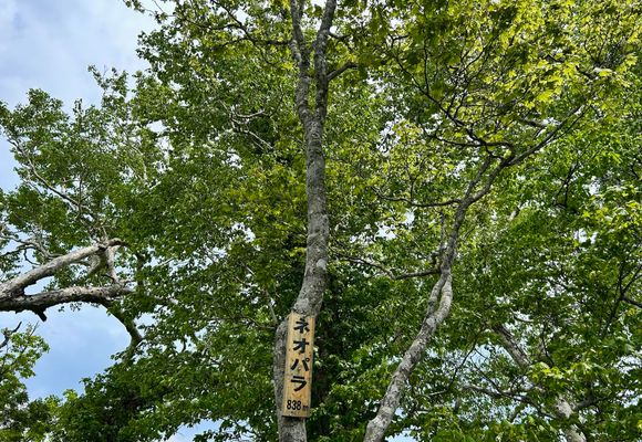 手稲山（北海道・1024m）| 登山ルート・天気 | YAMAP / ヤマップ