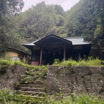神社にでます