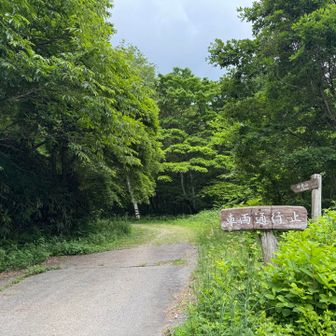 車道まで下山🥾✨