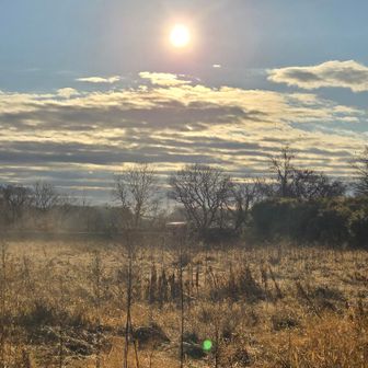 朝日がキラキラ✨