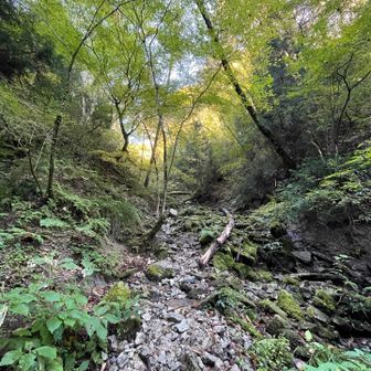 ここから山頂まで急登！