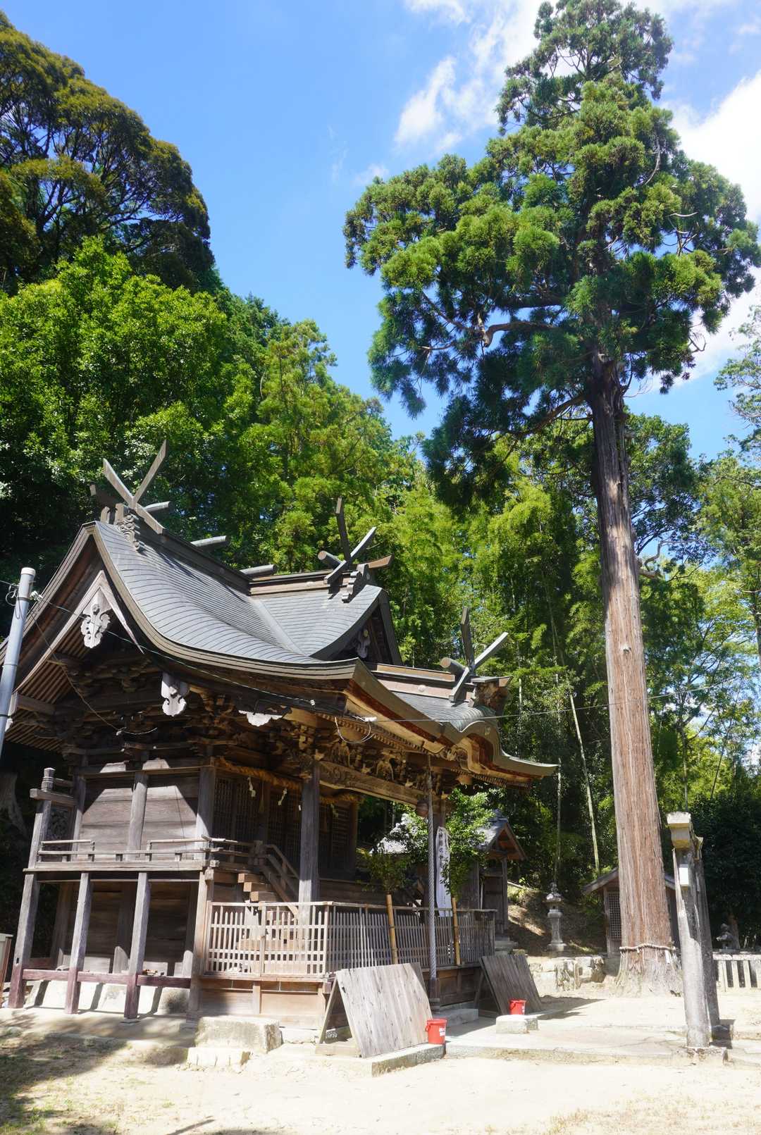 享保十二(1727)年十二月の棟札によれば、時の三田藩主九鬼隆衹の祈願により藩士井坂外2名が建築奉行となって、摂津大坂の棟梁鳥居藤兵衛清正の手によって完成した本殿