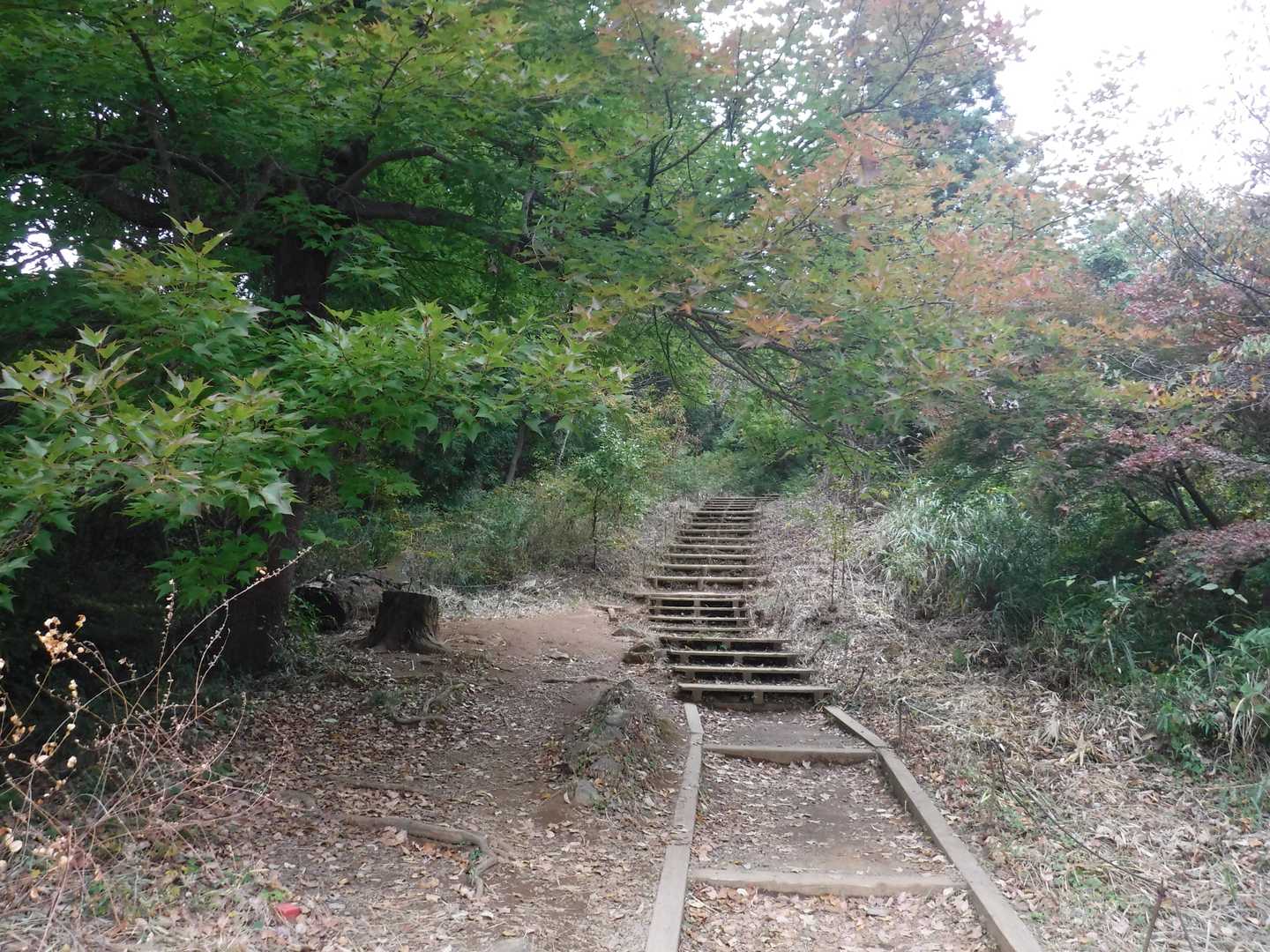 小仏城山へ。