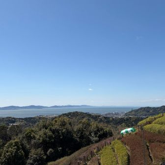 蒲郡ラグーナも見えます😊