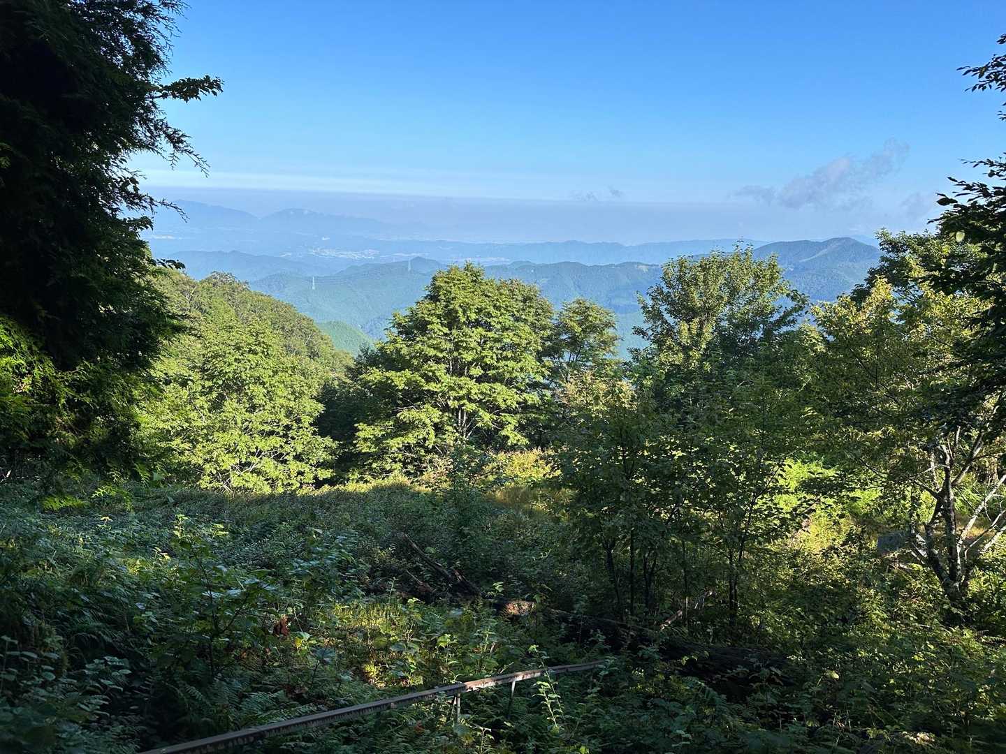 ここから北北西方向に展望が開けます👀

左奥に金剛山⛰️、葛城山⛰️、手前中央左に柏原山⛰️、百貝岳⛰️、右に青根ヶ峰⛰️、右端にこれから向かう四寸岩山⛰️が見えます（遠い😅）