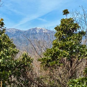 比良の盟主、武奈ヶ岳が貫禄の山容を見せます。