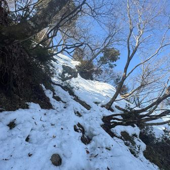最後は残雪ありで滑る　見た目より急
雪、積もったら
段木尾根はアイゼン、ピッケル絶対