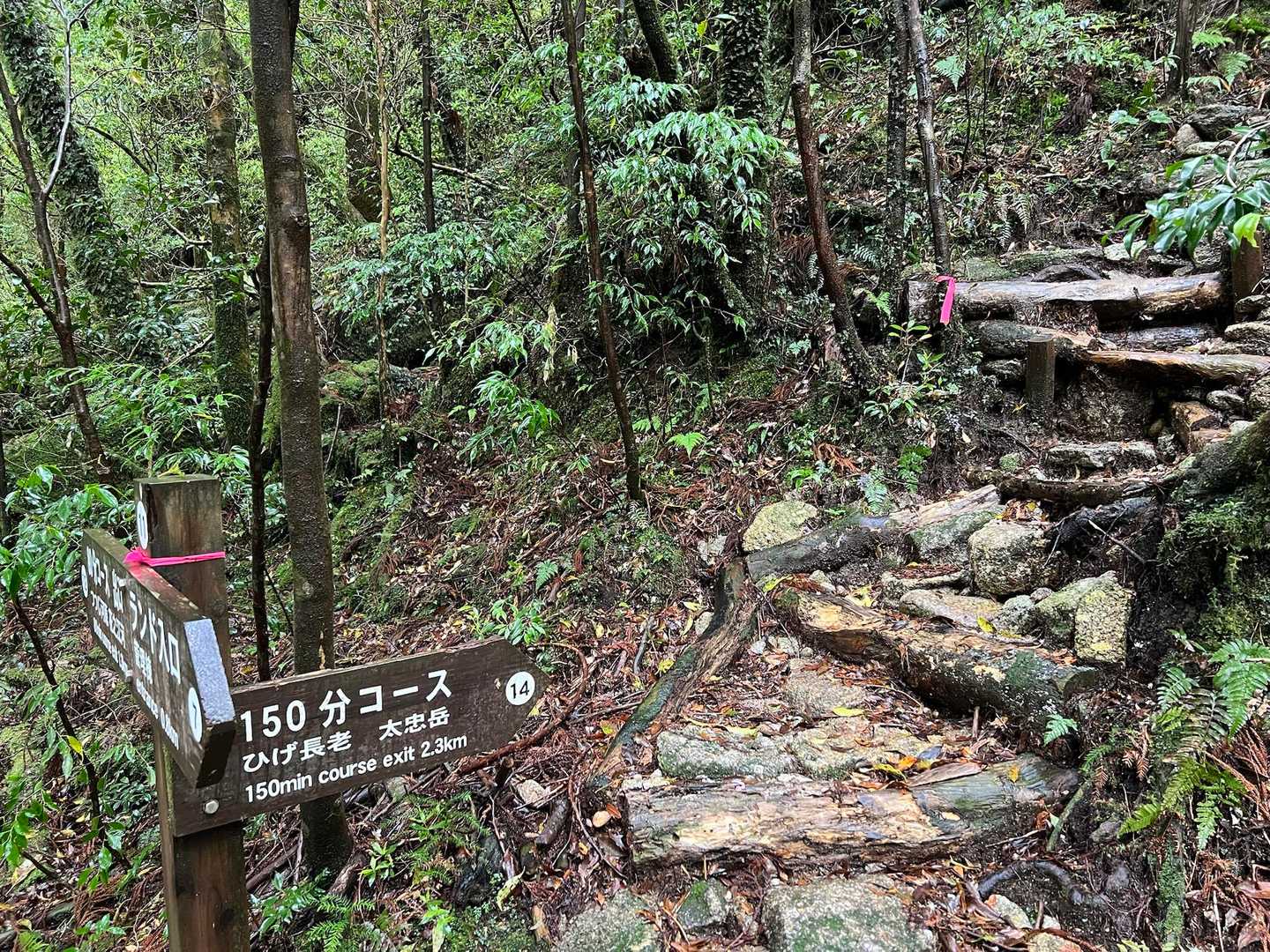 太忠岳 往復コースの写真