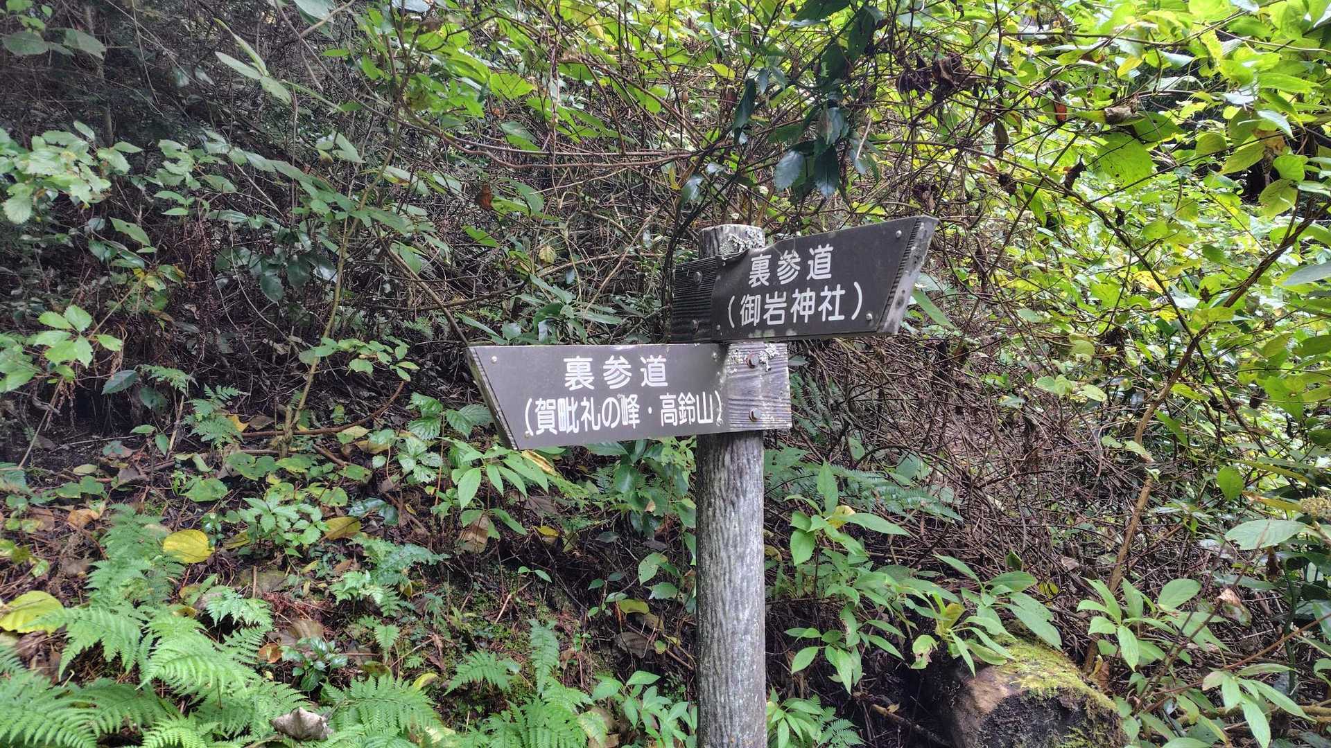 高鈴山山頂で軽く軽食と休憩をすませて下山です🫡
帰りは裏参道ルートで下ります。
