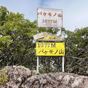 化物山。