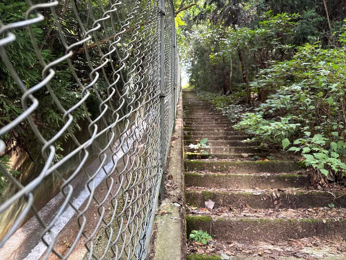 桜谷遊歩道登山口-九千部山 往復コースの写真