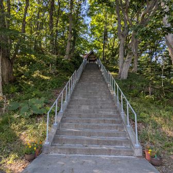 登りきったら山頂。
と言うか本殿。