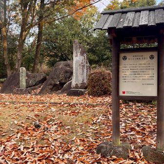 ふむふむ…
歴史は苦手💦