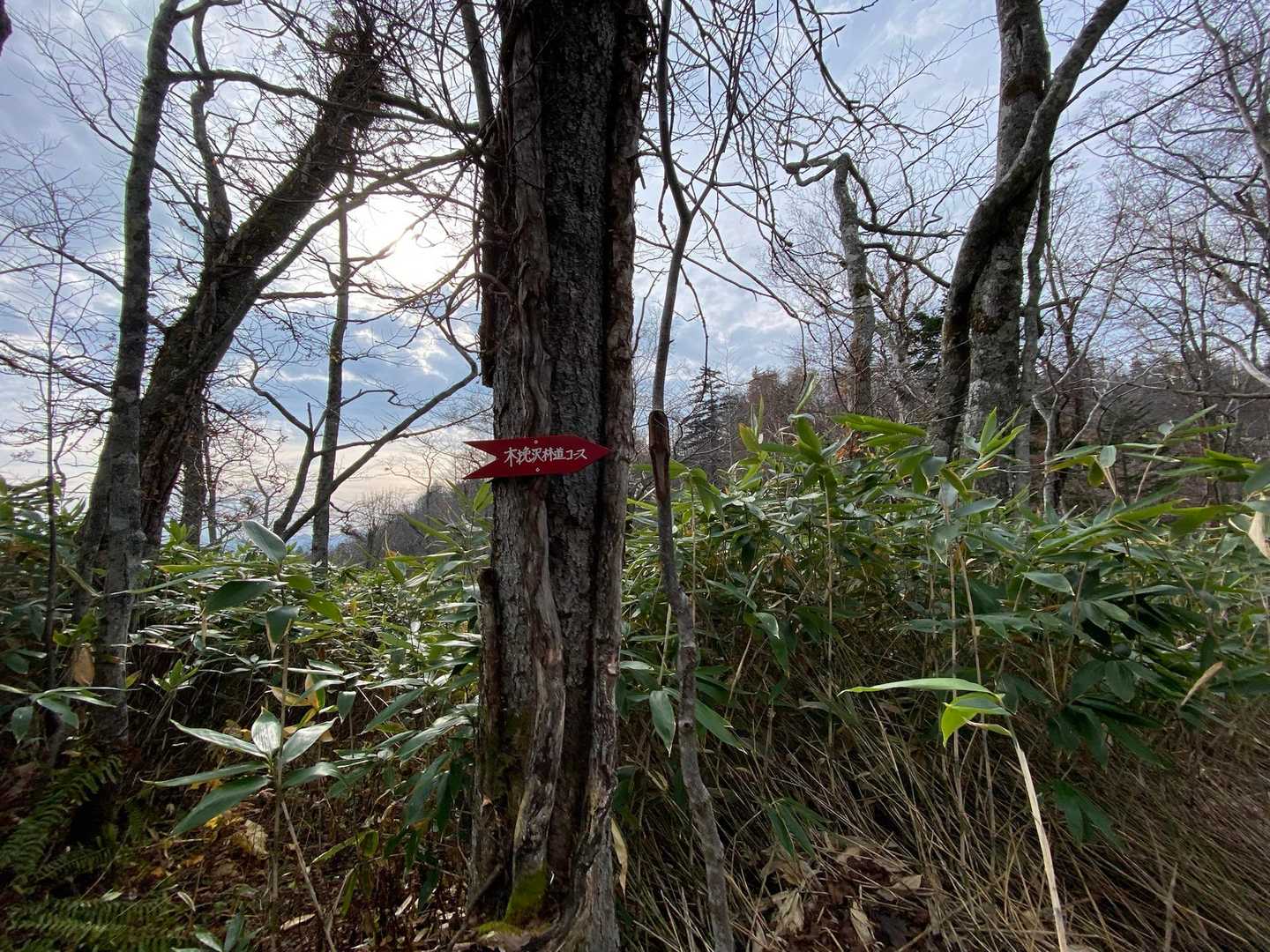 神威岳-烏帽子岳 往復コースの写真
