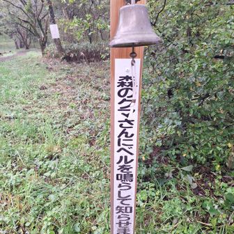 お邪魔しますの鐘
誰もいないので盛大に鳴らしました
