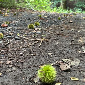 クリ😉
もう8月の後半
天気がイマイチだし会社のやすみ少なかったし高めの山は行けてない🙃
