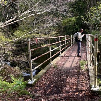 林道終着点から橋を渡って山へ。