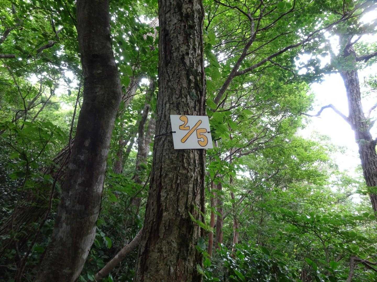 登りでは全く気づきませんでしたよ〜下向いて歩いてるから😅