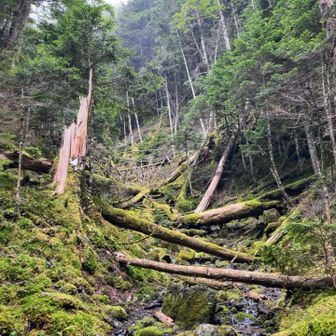 この奥のどこかから、荒川の最初の一滴が…？！
