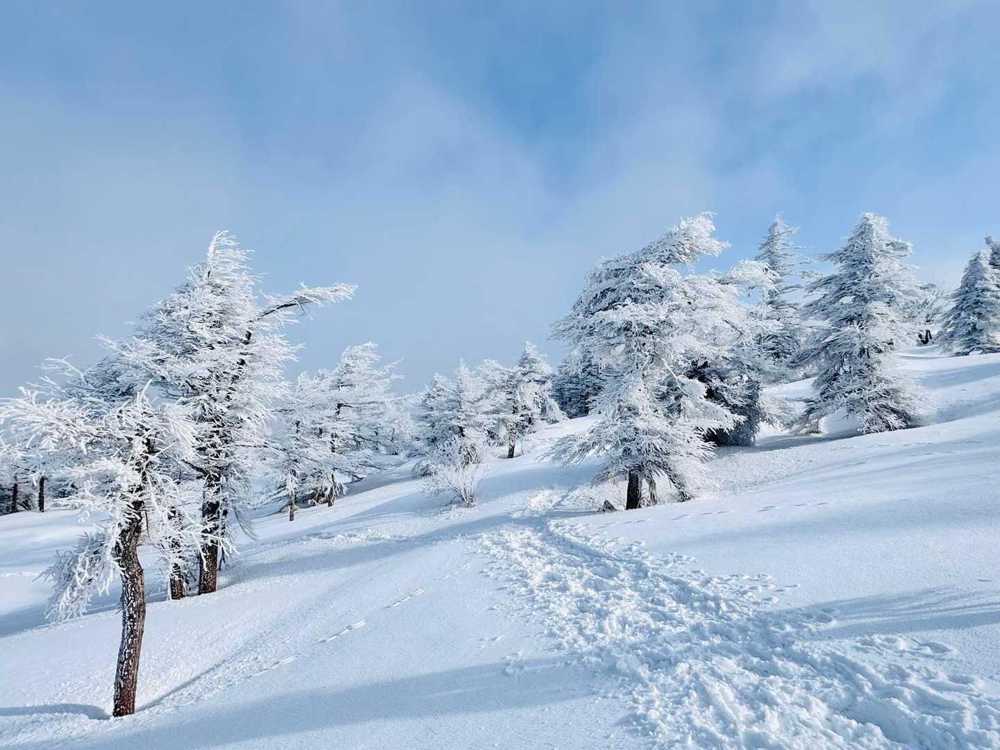 横向登山口 往復コースの写真