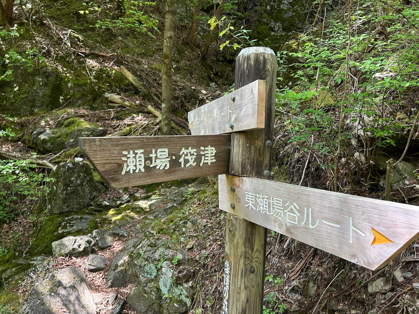 だいぶ戻ってきたー。長かった気がする。