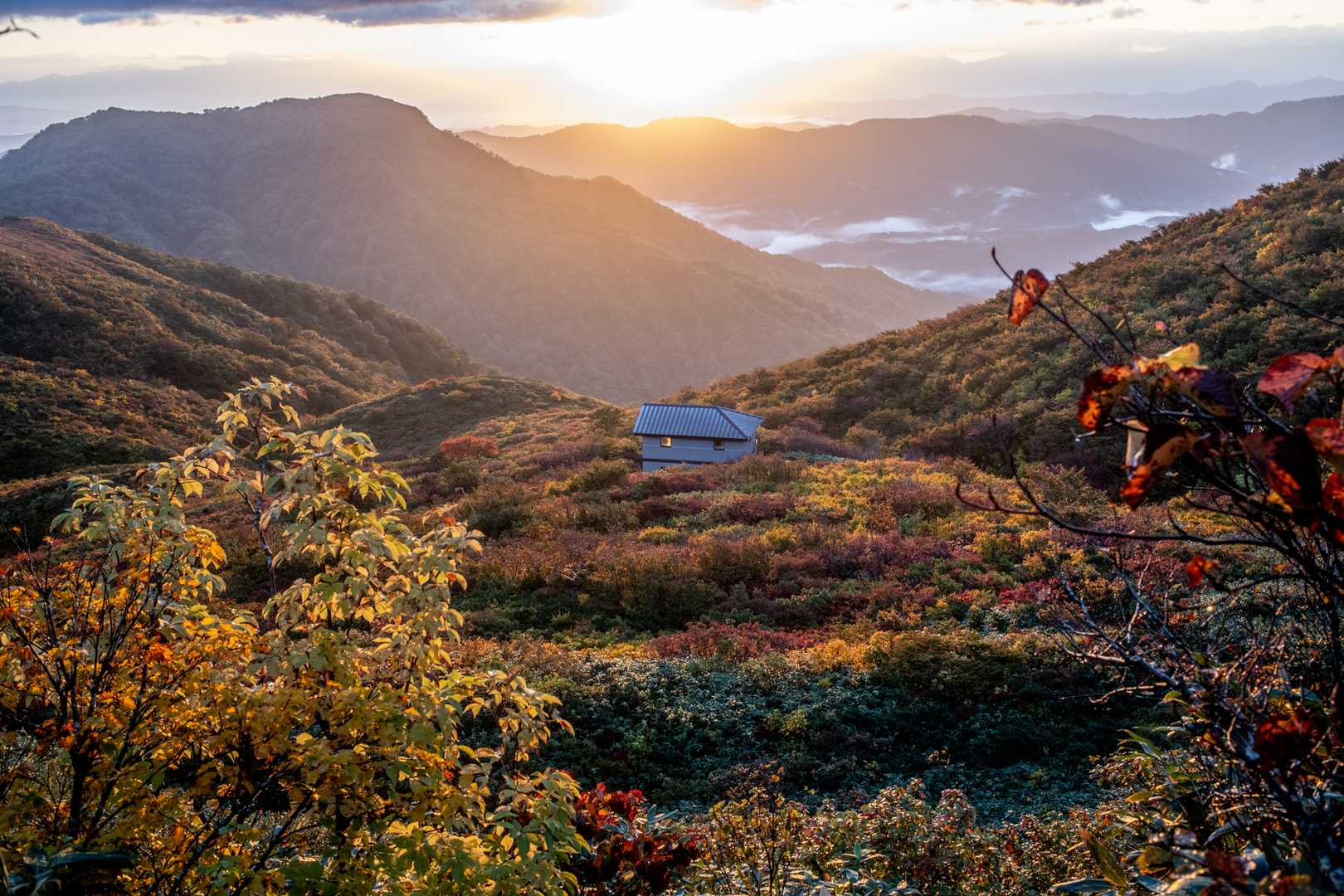 紫ナデ-小障子-障子ヶ岳-粟畑-天狗角力取山-焼峰 周回コースの写真