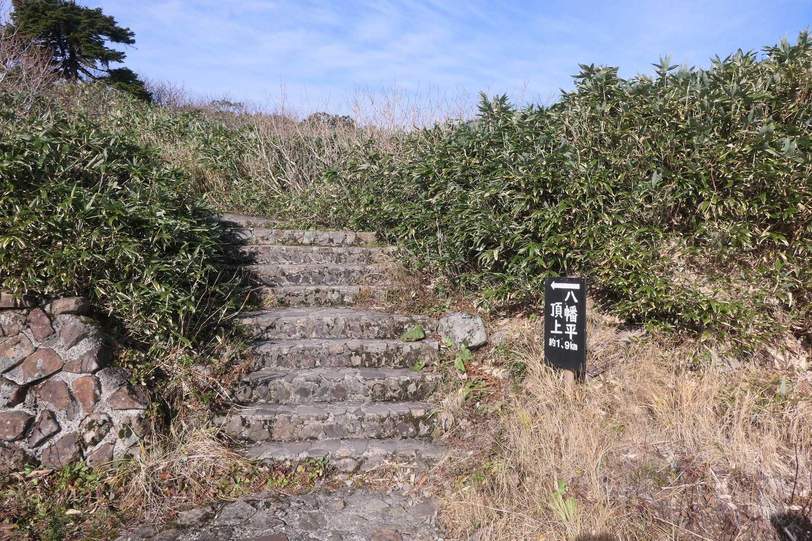 登山口にきました。