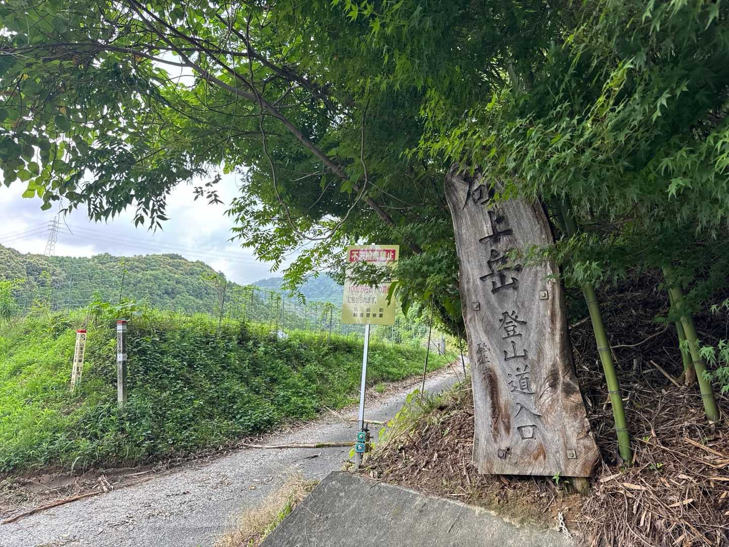 すっかりモッシャモシャになっちゃって
