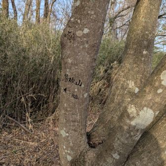 湯坂山の三角点はまあ無視