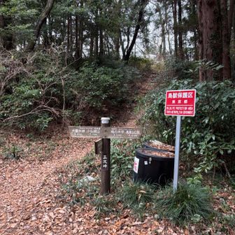 チェックポイント、本人と一緒の証拠写真🤭が必要
大垂水峠へ向かいます