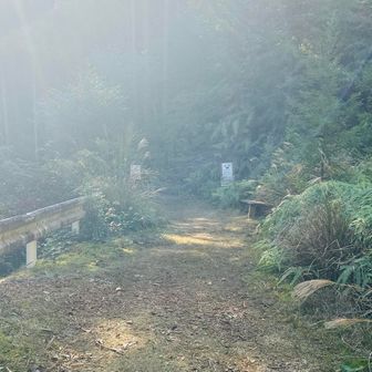 登山口が見えてきたー