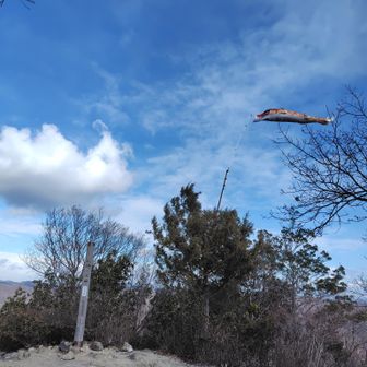 鯉のぼりが強風で飛んでいってしまいそう😅