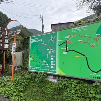 雨予報の日でしたが雨はまだ雨は降り出していませんでした