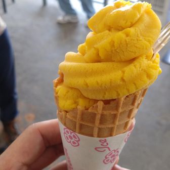 マンゴージェラートで内臓を冷やす