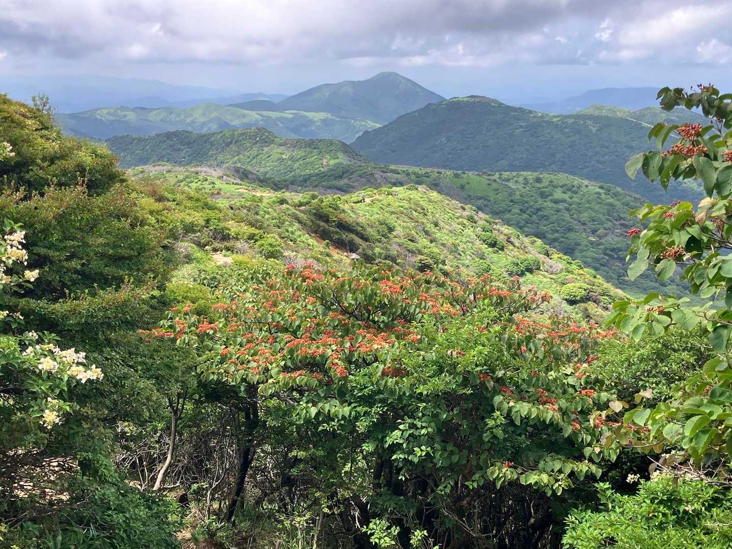 四季折々の景色を楽しめる九州随一の稜線歩きコース（牧ノ戸-久住山）の写真