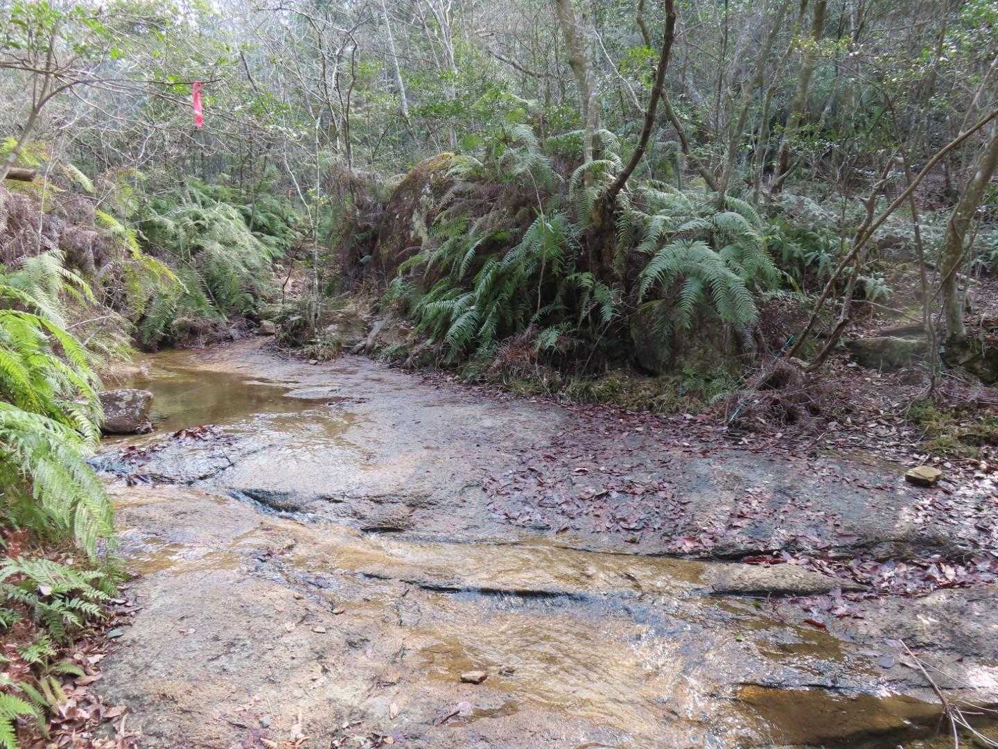 たまに渡渉
公園のような整ったきれいな場所
ここは公園か