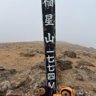 こちらも初めましてのお山💁‍♀️
またまた真っ白の山頂
晴れたり曇ったり忙しい空模様🌀