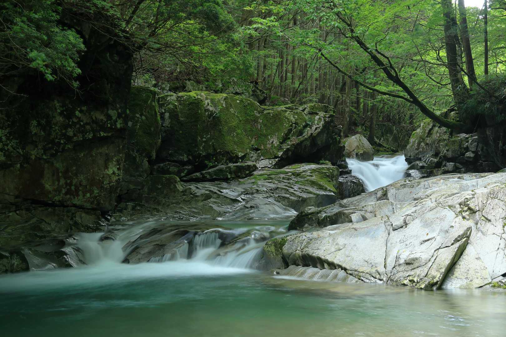 観音峰登山口-観音平-観音峯山-三ツ塚-法力峠 周回コースの写真