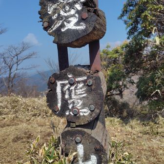 あの串団子風🍡の山頂標識が愛鷹でも健在💡