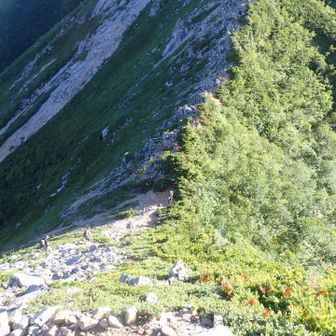 ここが最低鞍部
ここからひたすら登ります
非対称山陵ですね
