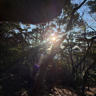 振り返ると朝日が降り注ぎ